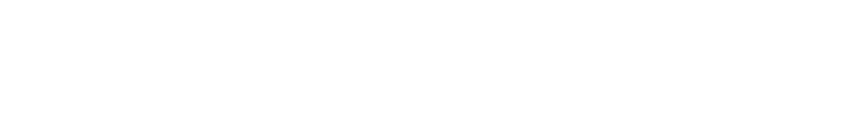The William Stanley Group